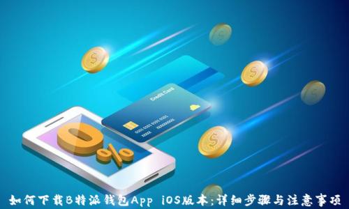 
如何下载B特派钱包App iOS版本：详细步骤与注意事项