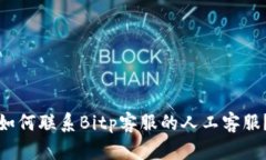 如何联系Bitp客服的人工客服？