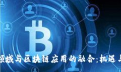 :金融领域与区块链应用的融合：机遇与挑战
