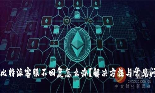智慧化比特派客服不回复怎么办？解决方法与常见问题解析