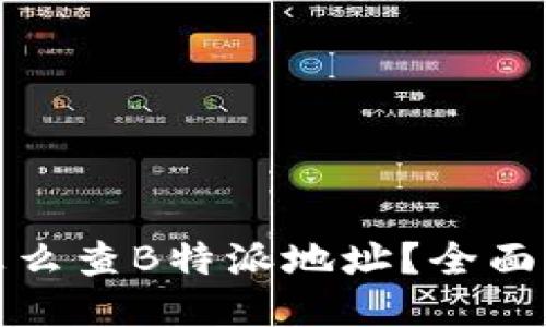 : 怎么查B特派地址？全面指南