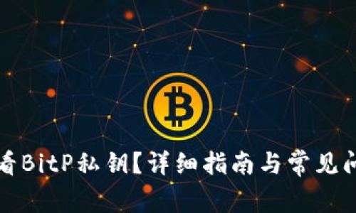 如何查看BitP私钥？详细指南与常见问题解答