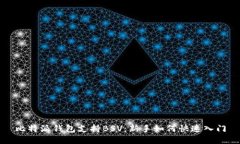 比特派钱包支持BSV：新手如何快速入门