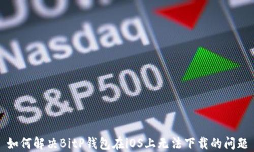 
如何解决BitP钱包在iOS上无法下载的问题