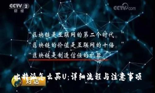 比特派怎么买U：详细流程与注意事项