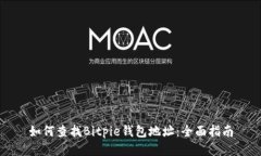 如何查找Bitpie钱包地址：全面指南