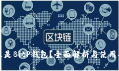 什么是BitP钱包？全面解析与使用指南