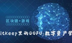  深入探索BitKeep里的DOFU：数字资产管理的新选择