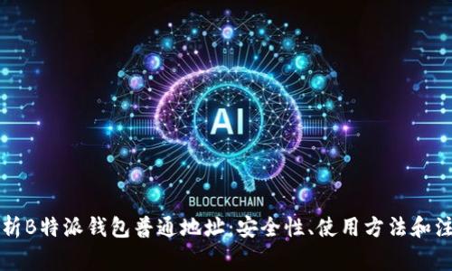 深入解析B特派钱包普通地址：安全性、使用方法和注意事项