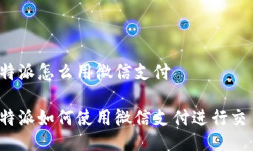 比特派怎么用微信支付

比特派如何使用微信支付进行交易？