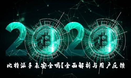 比特派手表安全吗？全面解析与用户反馈